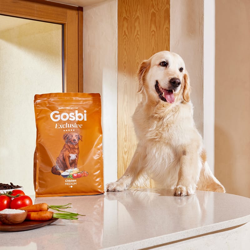  Exclusive Dog Adult Medium Chicken